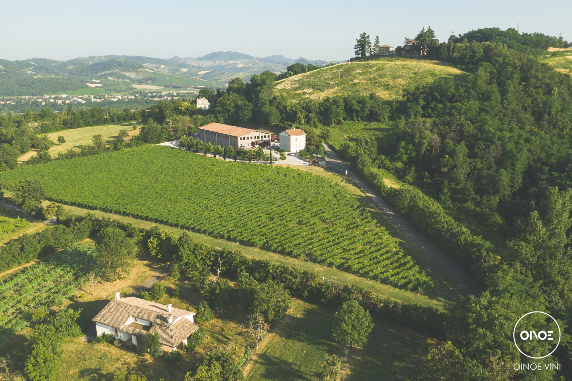 Conservazione e temperatura di servizio dei vini: intervista ad Oinoe